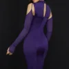 Talika Grape Corset Midi Dress