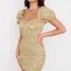 Tanaya Vintage Floral Puff Sleeve Mini Dress