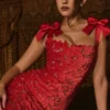 Tiff Holly Red Velvet Lace Maxi Dress