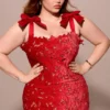 Tiff Holly Red Velvet Lace Maxi Dress